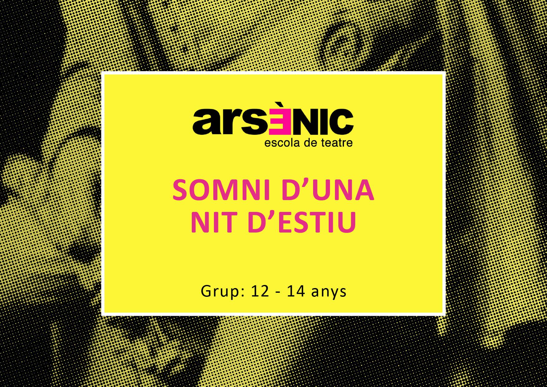 SOMNI D'UNA NIT D'ESTIU