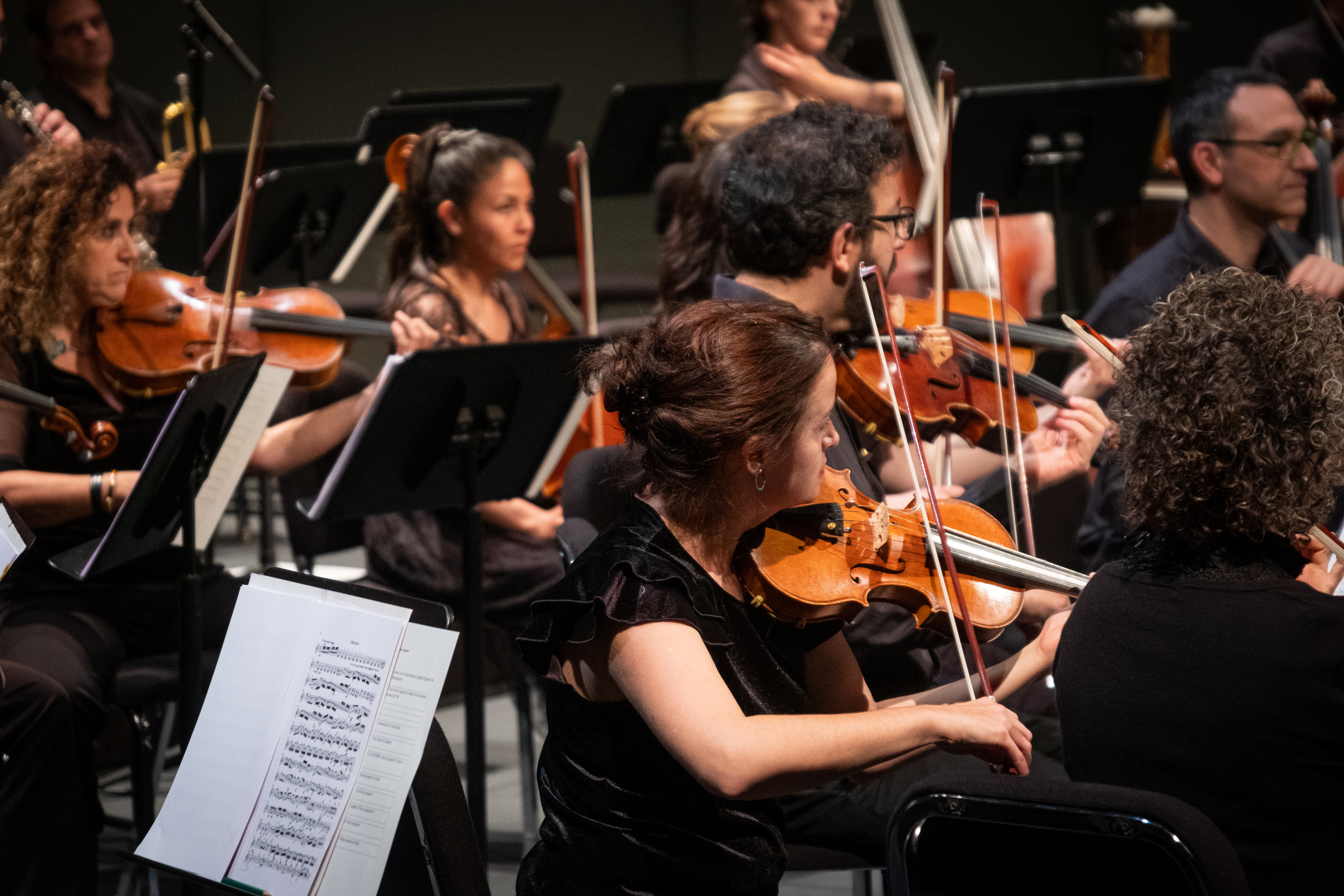 Carnaval dels animals. Article Xavier Chavarria