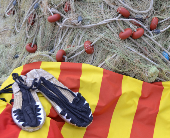 Sardanes i Havaneres