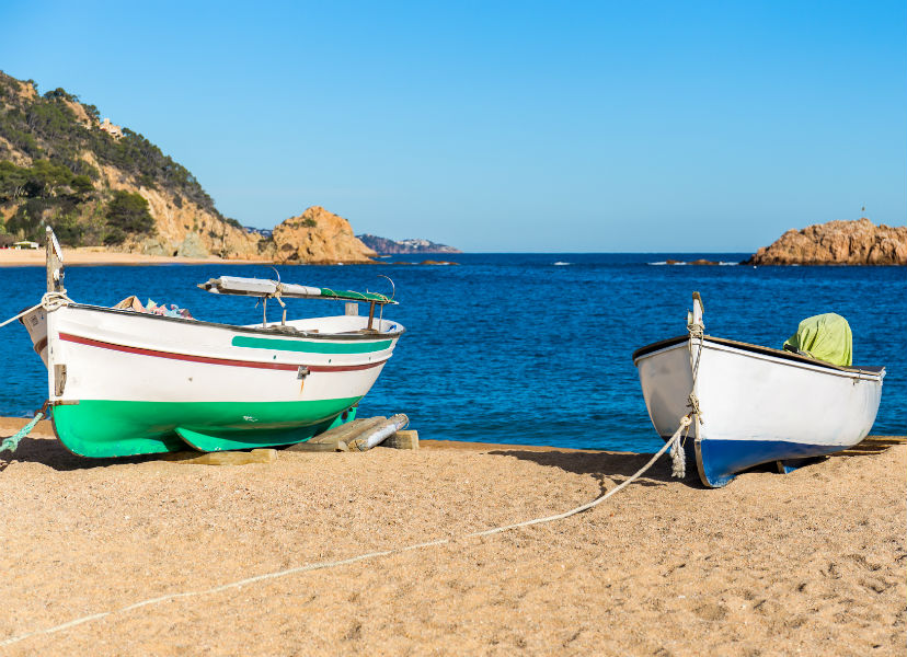 Descobreix la programació de la Festa Major 2016 del Teatre Auditori!