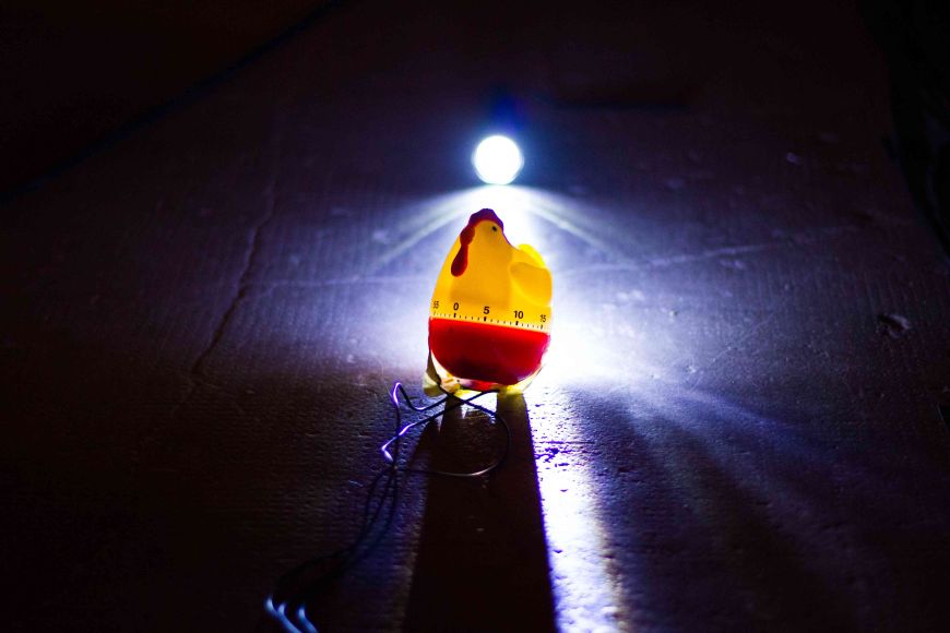 El desig de ser un llimac (si els llimacs són cargols sense closca) El desig de ser un llimac (si els llimacs són cargols sense closca)