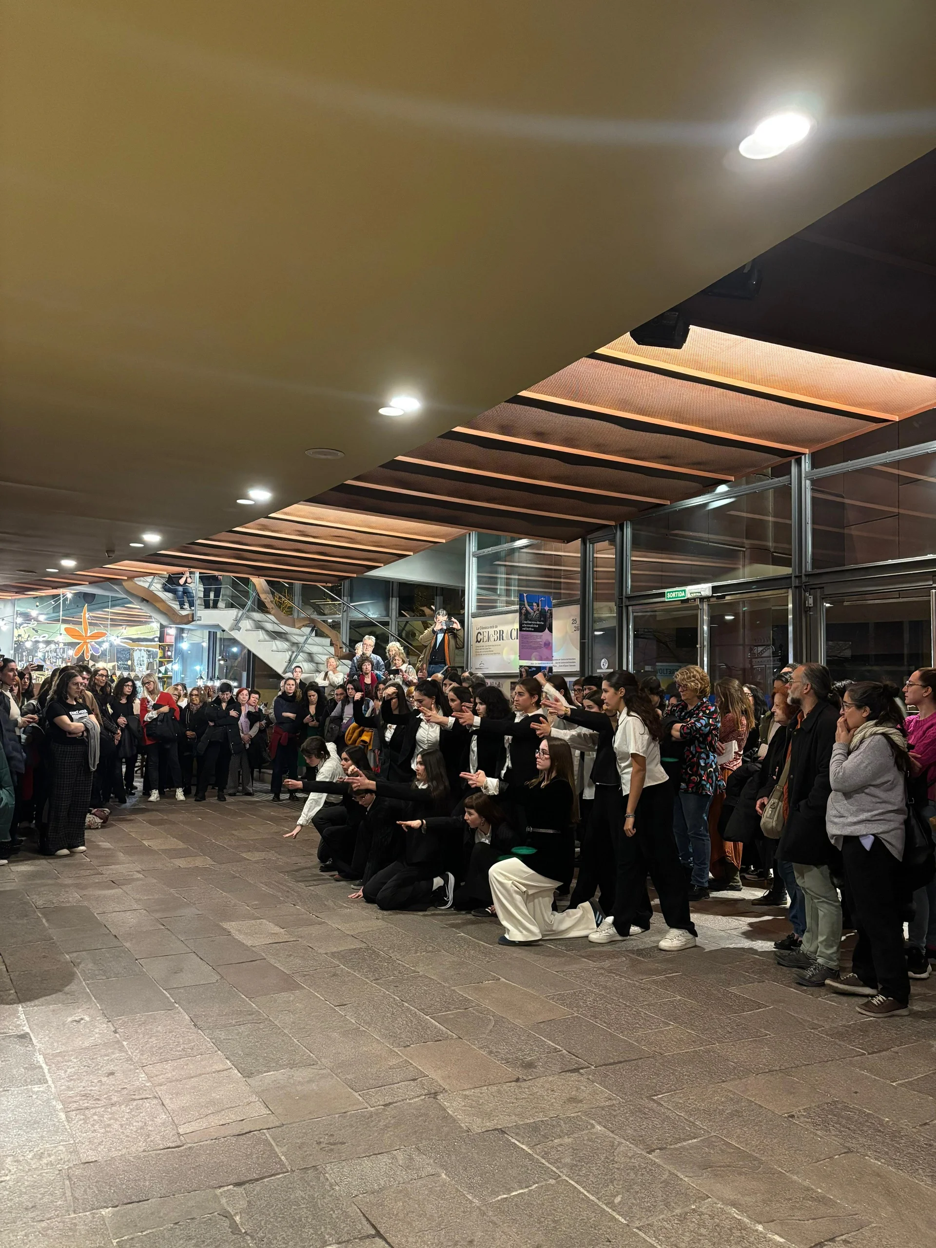 Mostra final del projecte Reverberacions a càrrec de La Visionària i les alumnes de 1r de Batxillerat escènic del Institut Celestí Bellera