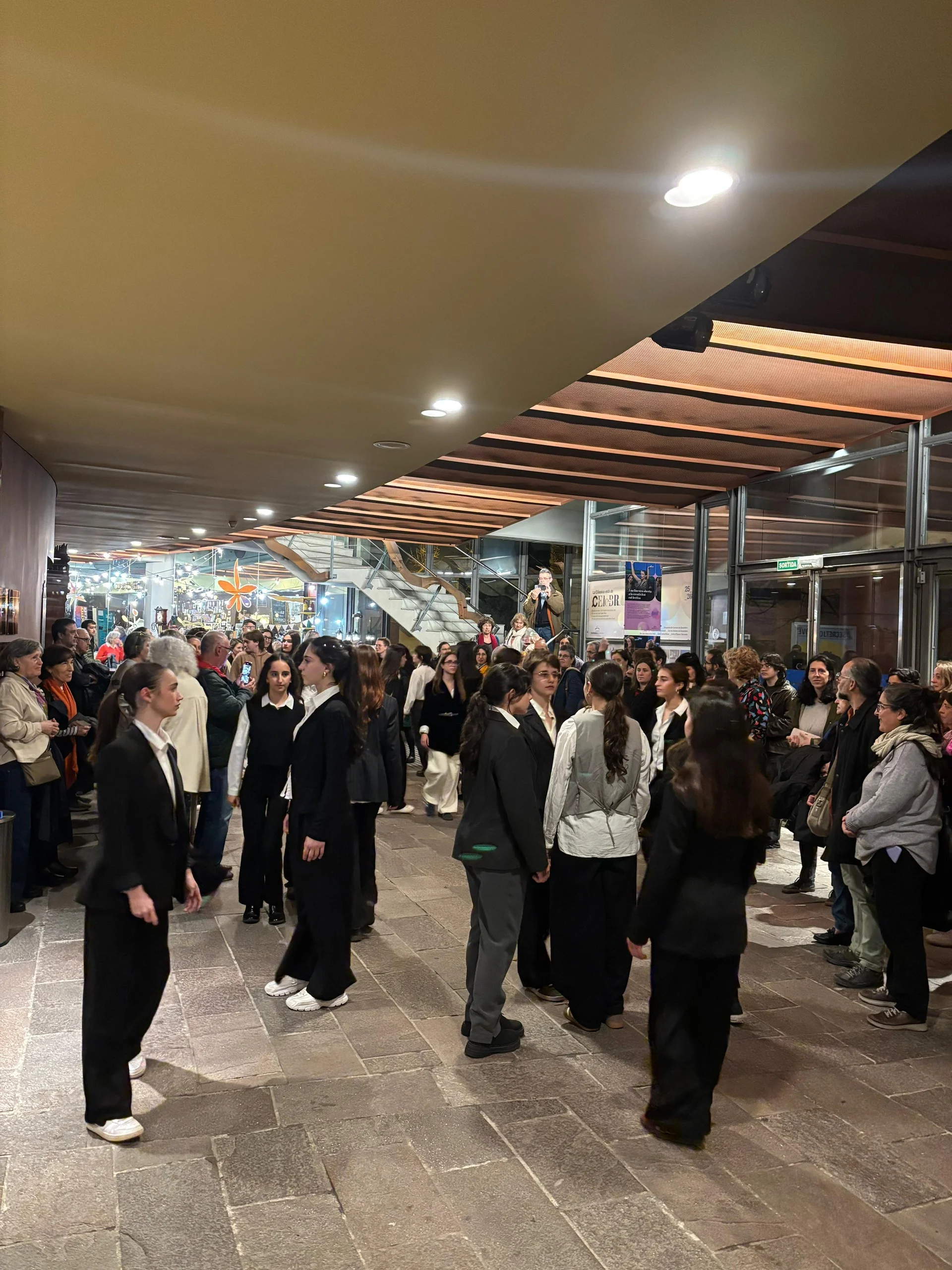 Mostra final del projecte Reverberacions a càrrec de La Visionària i les alumnes de 1r de Batxillerat escènic del Institut Celestí Bellera